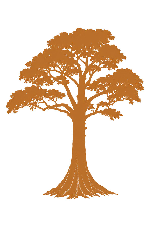 Iroko